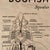 Beige Mid 20th Century Educational Zoological Dogfish Anatomy Chart by New York Scientific Co. For Sale - Image 8 of 12