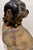 Large 19th Century English Cold-Painted Terracotta Bulldog Figure With Glass Eyes For Sale In New York - Image 6 of 17