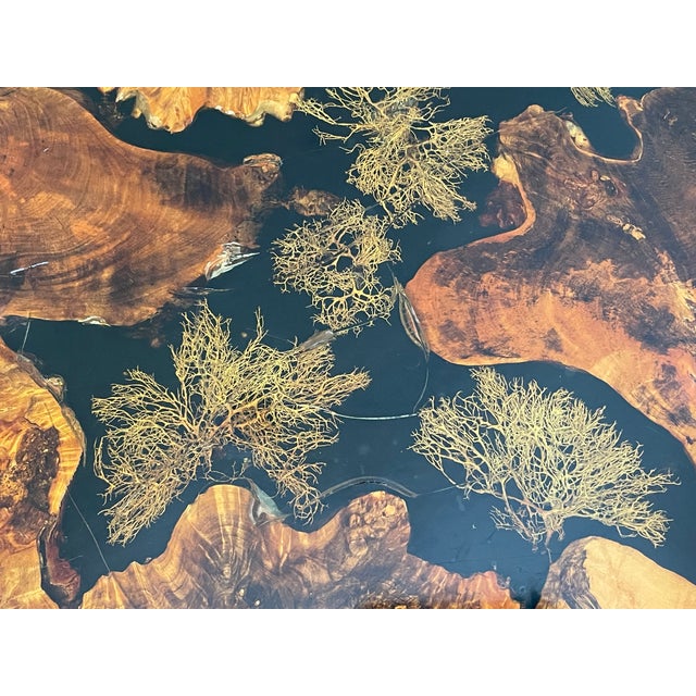 Gorgeous 1960 Tedeood Slab Stump Root Live Edge Coffee Table For Sale - Image 11 of 17