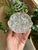 French Reims France Thick Clear Crystal Glass Flower Frog 19 Holes For Sale - Image 3 of 3