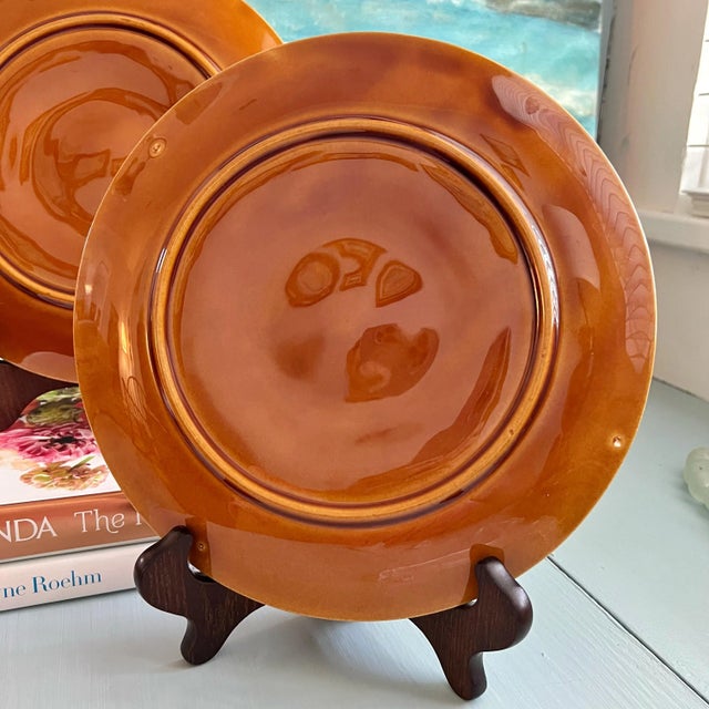 Ceramic Vintage Niderviller Faience Brown Oyster Plates- a Pair For Sale - Image 7 of 12