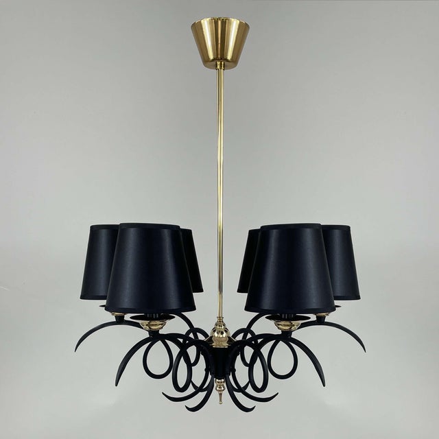 Black Cast Iron and Brass Chandelier, France, 1950s For Sale - Image 16 of 17