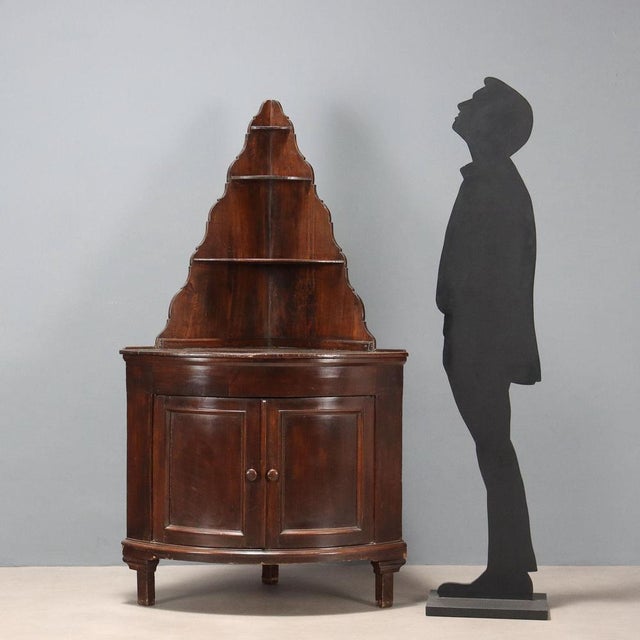 Corner cabinet in walnut-stained poplar. Three-shelf display case with a pair of paneled doors at the base, plinth feet....