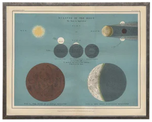 Ocean Blue Astronomy Plate VI in Shadowbox 29 1/2x 23 1/2"