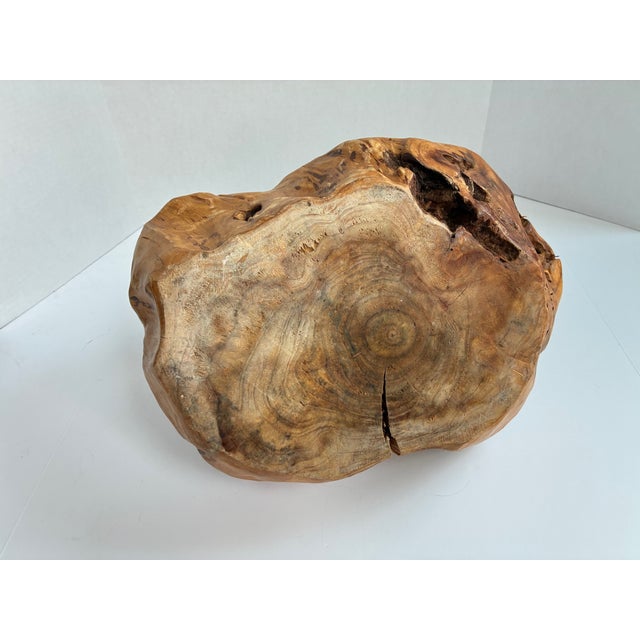 Vintage Hand-Carved Burl Wood Bowl – Large Organic Basket-Style Decorative Centerpiece For Sale - Image 9 of 11
