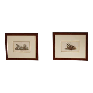Pair of Ornithological Prints from 'Report on the Birds of Pennsylvania'