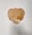 Iridescent Alabaster Gold Disc Glass Wall Sconces, 1990s, Set of 2 For Sale - Image 18 of 18