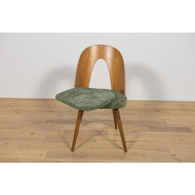 Dining Chairs by Antonín Šuman for Tatra, 1960s, Set of 4 For Sale - Image 10 of 18