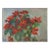 Poinsettia 25, Adela Smith Lintelmann, Painting For Sale