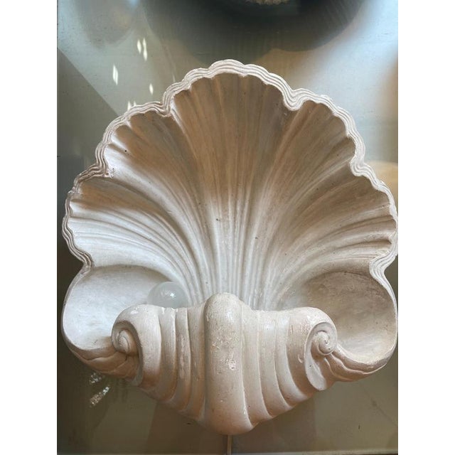 Plaster Shell Wall Lamp, 1950s For Sale - Image 3 of 13