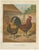 Foerster, The Golden Spangled Hamburg Chicken, Lithograph, 1888 For Sale - Image 10 of 10