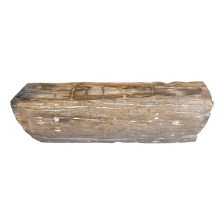 Andrianna Shamaris Rare Petrified Wood Log Bench For Sale