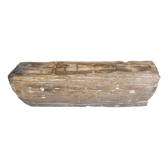 Andrianna Shamaris Rare Petrified Wood Log Bench For Sale