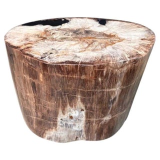 Andrianna Shamaris Ancient High Quality Petrified Wood Side Table For Sale
