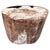 Andrianna Shamaris Ancient High Quality Petrified Wood Side Table For Sale