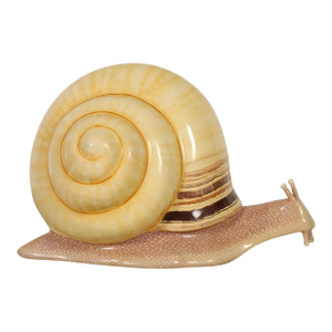 Rare Large Sergio Bustamante Signed/Numbered Snail Sculpture