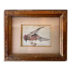 1870s Watercolor of Bird