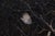 Nest II features a delicate interplay of textures and tones, depicting a bird's wing resting amidst a tangle of dark,...