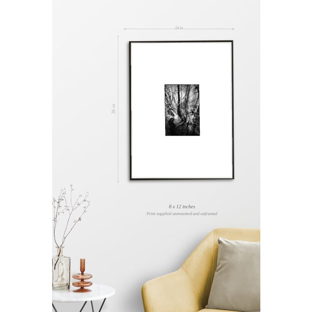 Paul Cooklin, Shadow Selfie, Edition of 50 For Sale - Image 4 of 7