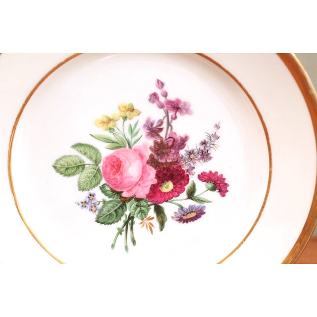 Rose Pair of Deroche Paris Porcelain Floral Plates, 19th Century For Sale - Image 8 of 11