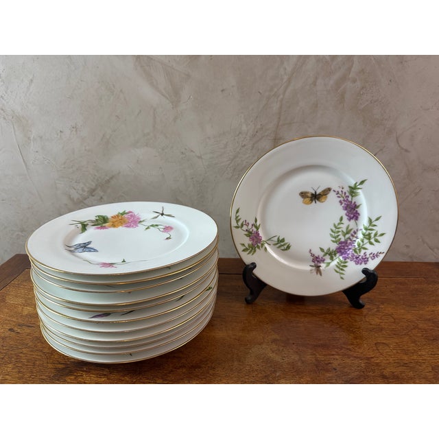 1920s Limoges Porcelain Plates, 1920, Set of 12 For Sale - Image 5 of 18