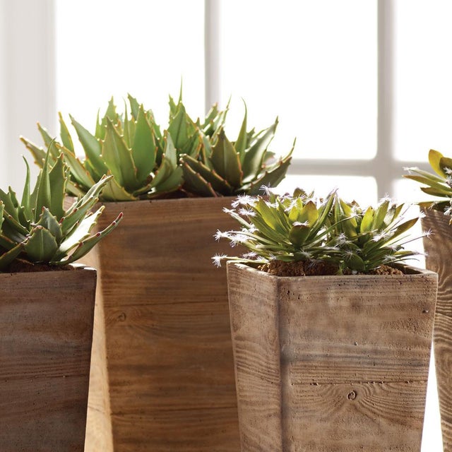 100% realistic a complete set of mini succulents. These dropins are nomaintenance works of art. Right down to the...