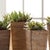 100% realistic a complete set of mini succulents. These dropins are nomaintenance works of art. Right down to the...