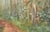Misty Forest, 1970s Landscape by Gary Hicks For Sale In Monterey, CA - Image 6 of 11
