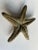 Mid-Century Modern 1970s Palm Regency Brass Starfish For Sale - Image 3 of 9
