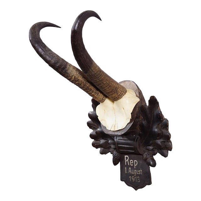 Antique Chamois Trophy on Carved Plaque, Germany 1913 For Sale
