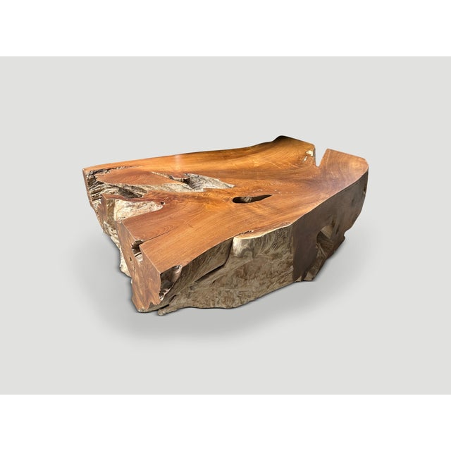 Contemporary Andrianna Shamaris Impressive Single Teak Root Coffee Table For Sale - Image 3 of 18