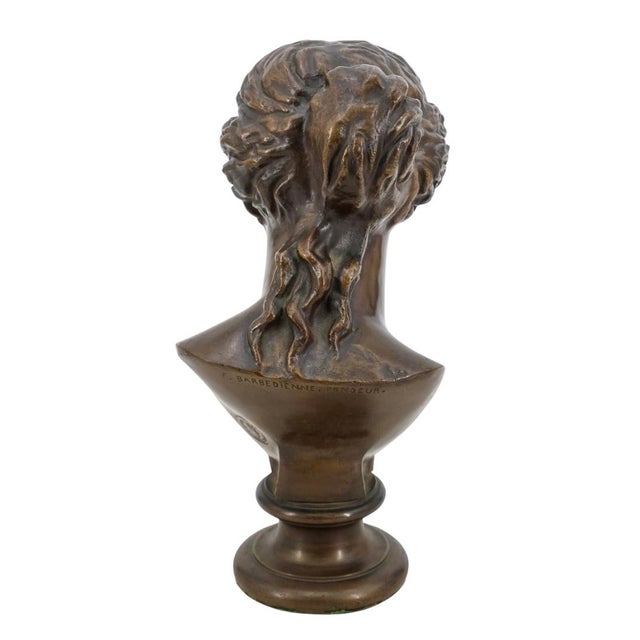 Mediterranean Venus De Milo Bronze Bust For Sale - Image 3 of 5