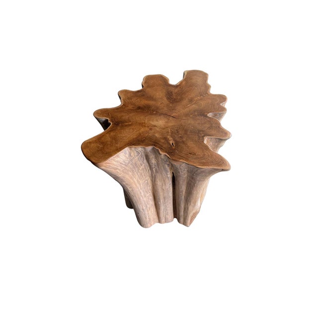 Wood Sculptural Solid Teak Wood Table With Natural Grain & Bleached Finish For Sale - Image 7 of 14