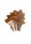 Wood Sculptural Solid Teak Wood Table With Natural Grain & Bleached Finish For Sale - Image 7 of 14