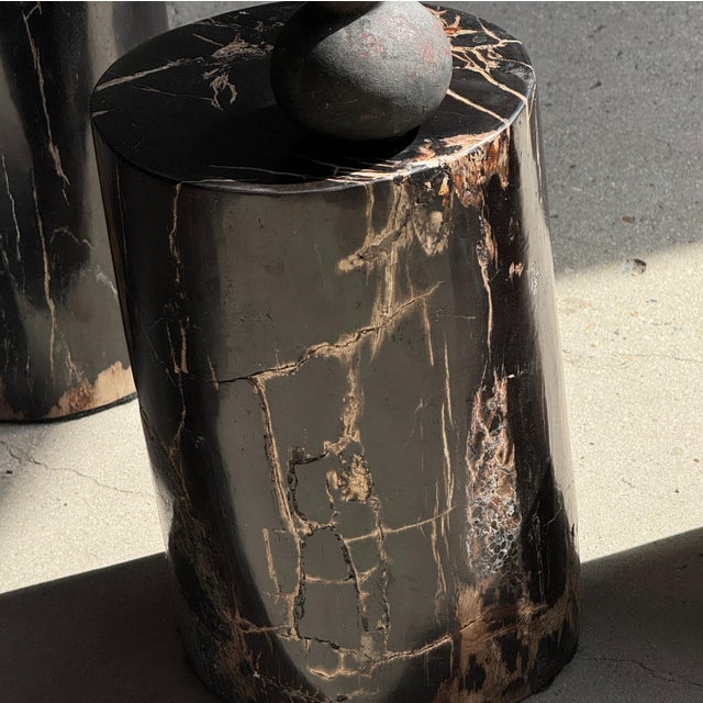 Small Side Table in Black Petrified Wood with Beige Striations For Sale - Image 17 of 18