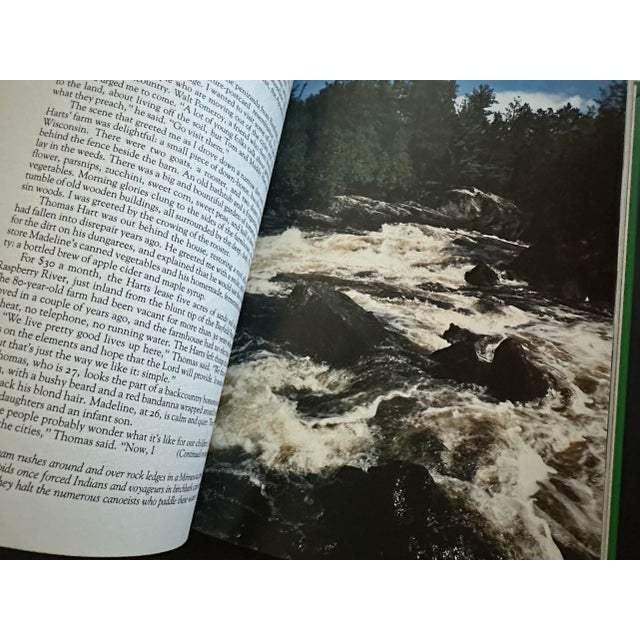 Vintage 1979 Green Hardcover Book With Embossed Mushroom & Frog For Sale - Image 11 of 12