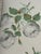 Vintage Iron Foot Stool With Colefax and Fowler “Bowood” Cotton Chintz Upholstered Cushion For Sale - Image 9 of 17