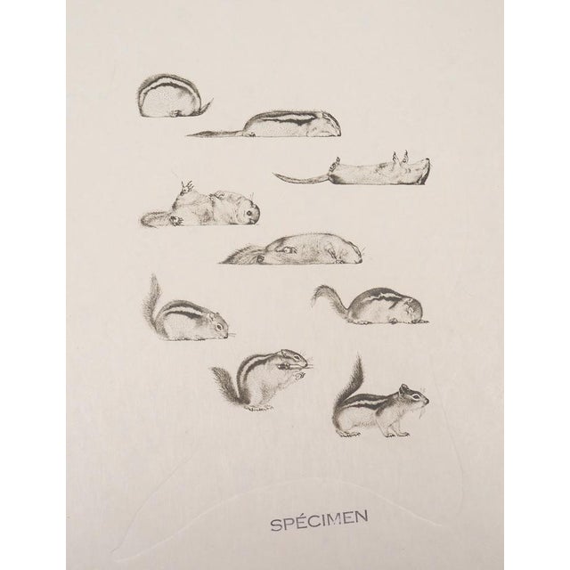 Salvador Dali, Ten Recipes for Immortality: Surrealist Composition, 1973, Etching For Sale - Image 7 of 12