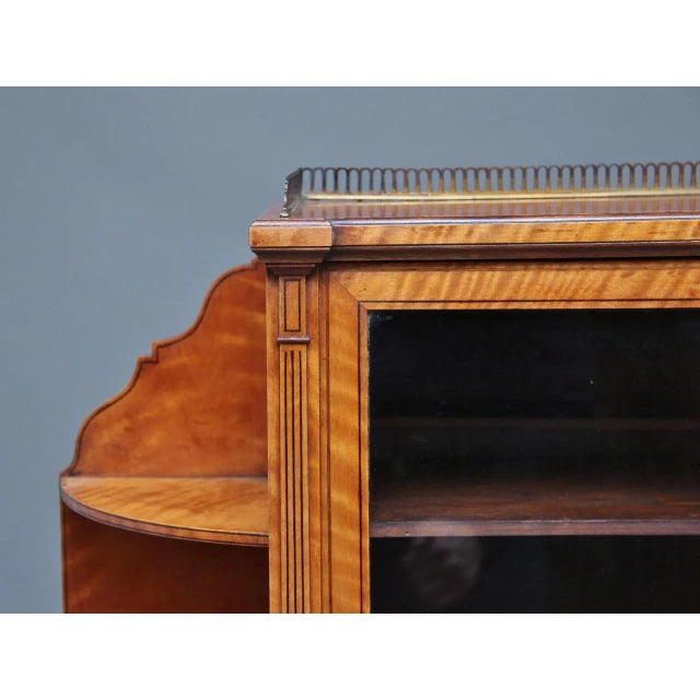 Brown Satinwood Display Cabinet, 1800s For Sale - Image 8 of 13
