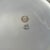 Limoges, France 1910s Jean Pouyat Limoges Luncheon Plates - Set of 13 For Sale - Image 4 of 4
