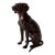 Vintage Life-Size Bronze Sitting Dog Sculpture For Sale