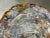 Arizona Petrified Wood Slab Table on Brass and Stainless Base For Sale In Palm Springs - Image 6 of 12