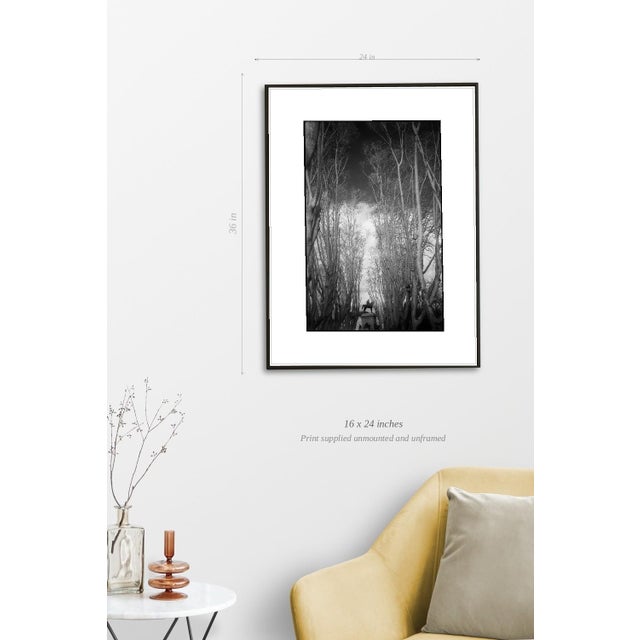 Paul Cooklin, Garibaldi Monument, Edition of 50 For Sale - Image 4 of 7