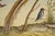"Collection of the Most Rare Birds" - Hand Watercolor Engraving by Nicolas Robert For Sale - Image 4 of 7