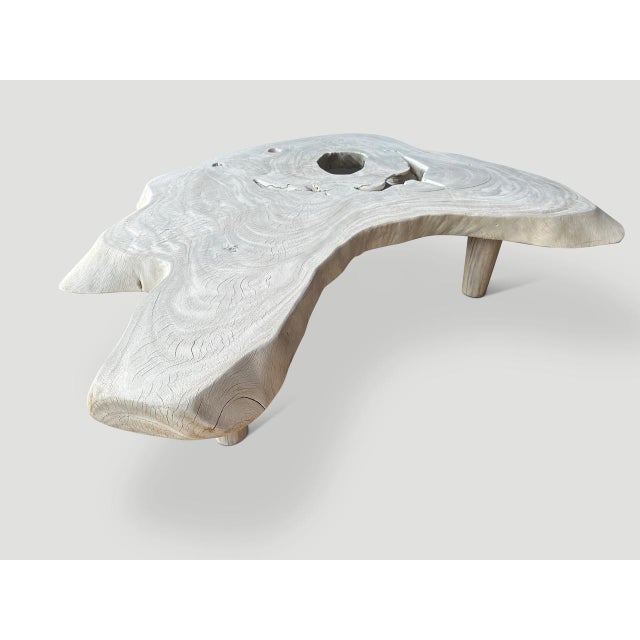 Andrianna Shamaris Amorphous Mid Century Style Bleached Coffee Table For Sale - Image 4 of 6