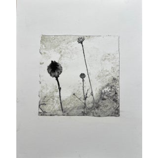 The Field, Digital Transfer Print For Sale