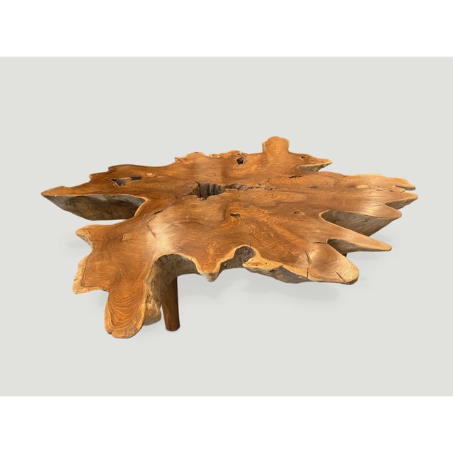 Andrianna Shamaris Teak Wood Organic Root Coffee Table For Sale In New York - Image 6 of 6
