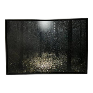 Ellie Davies, Stars I, Digital C-Print, Framed For Sale