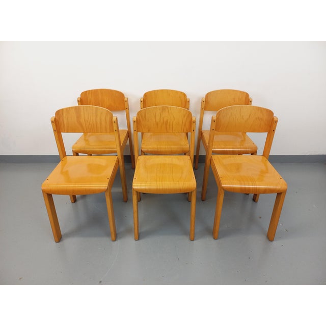 Tan Vintage Beechwood Chairs, 1970s, Set of 6 For Sale - Image 8 of 18