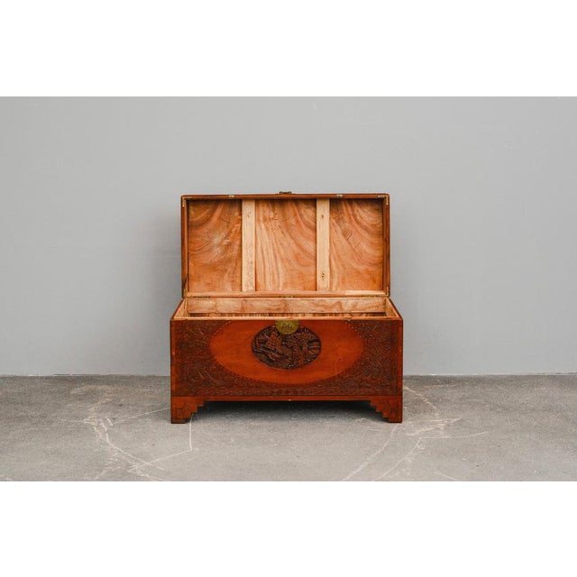 Asian Camphor Chest in Mahogany, Late 20th Century For Sale - Image 4 of 18